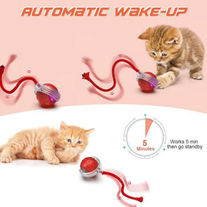 Interactive Cat Toys Ball