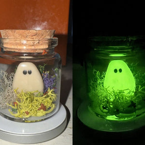 Pet Ghost in Bottle