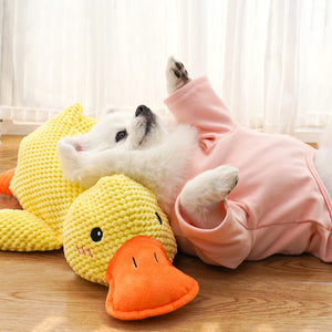 Quacking Duck Calming Dog Toys