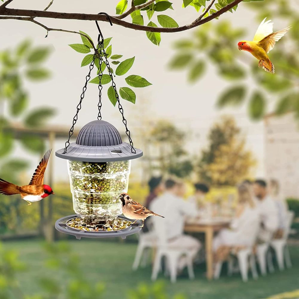 Bird Feeder