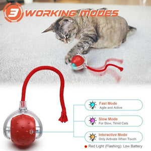 Interactive Cat Toys Ball