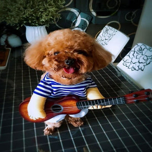 《CRAZY GUITARIST》CAT AND DOG DRESS UP