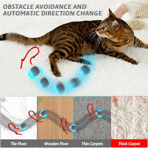 Interactive Cat Toys Ball