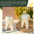 Tooth Fragrance Candle - Doctor/Children's Teeth Changing Gift