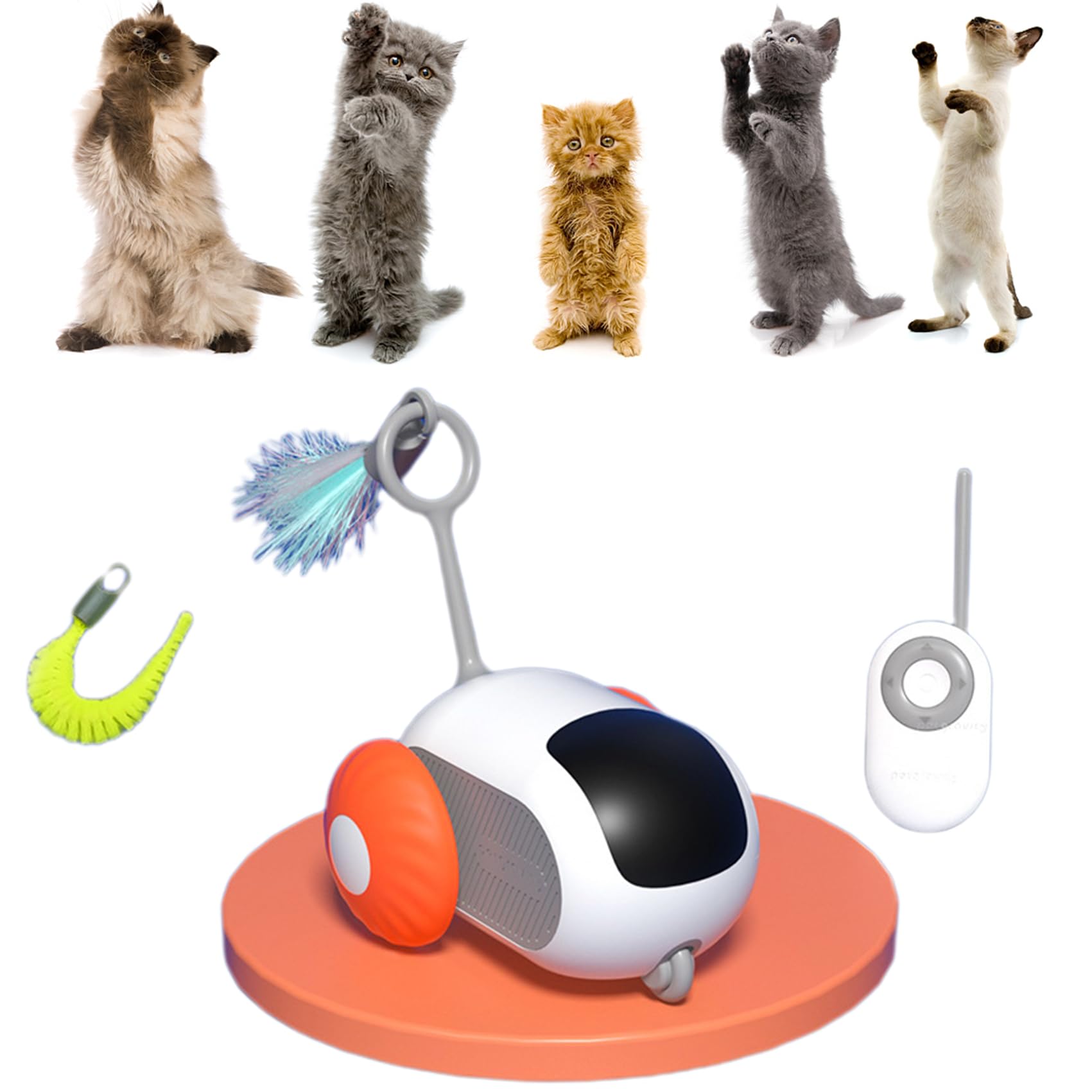 Crazy-Joy Car Remote Control Electric Cat Toy